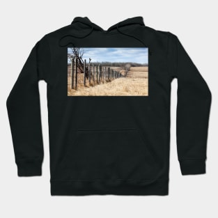 Fence Line Hoodie